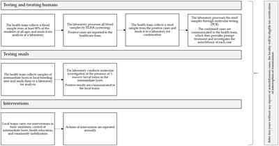 FioSchisto’s expert perspective on implementing WHO guidelines for schistosomiasis control and transmission elimination in Brazil